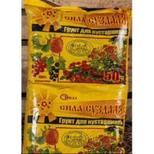 Саженцы Сила Суздаля Кустарники,50 л